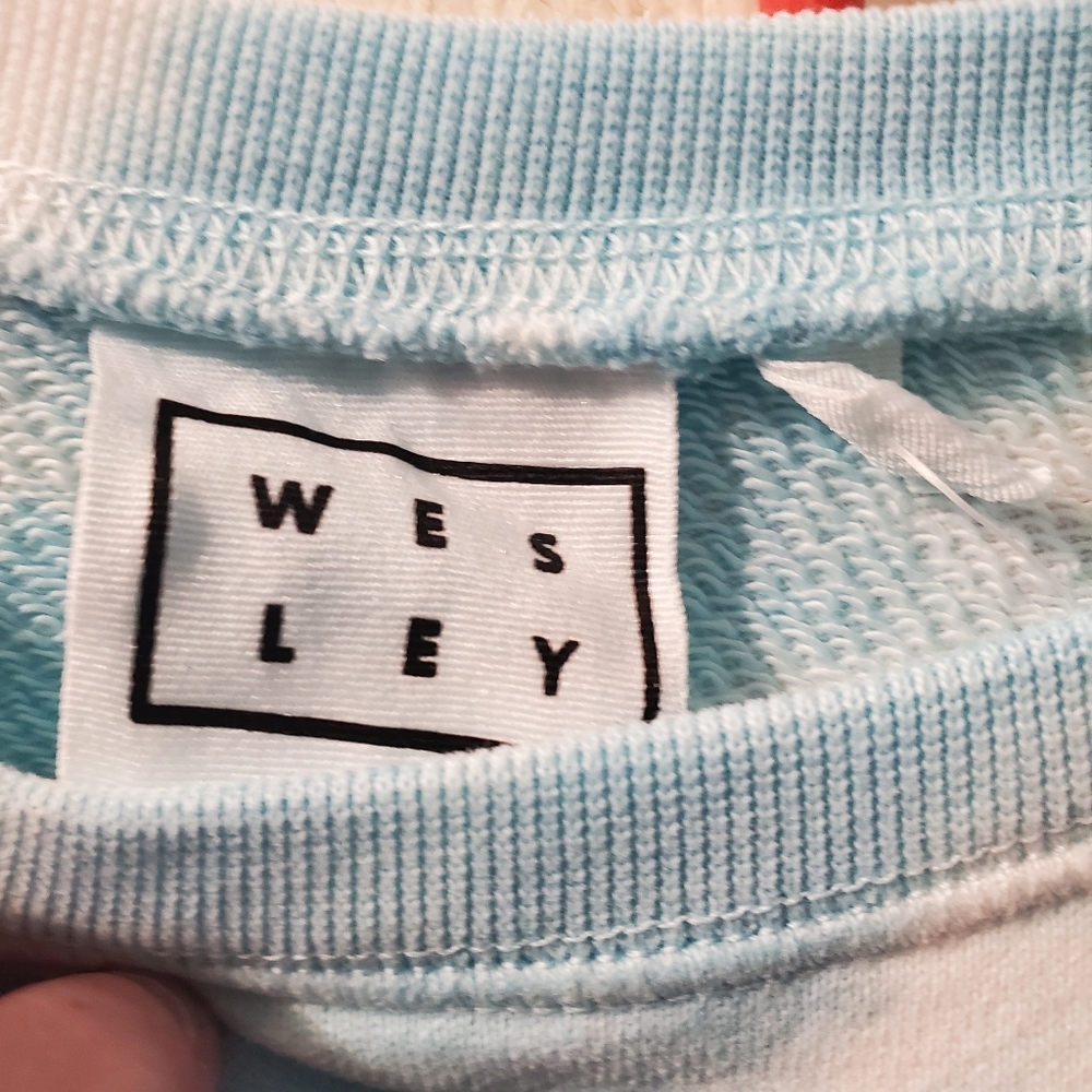 WSLY Cove Raglan sweatshirt - Picture 7 of 10